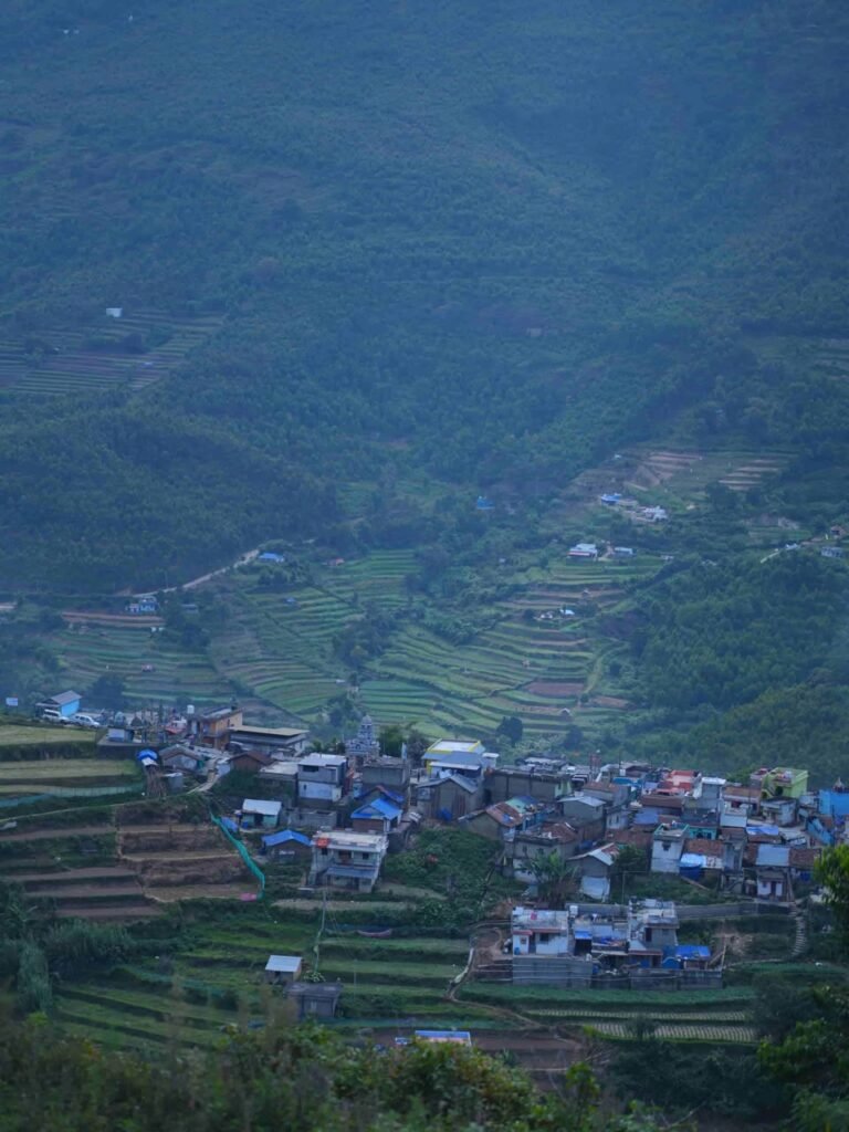 whatsapp image 2026 08 22 at 1.17.14 pm (1)