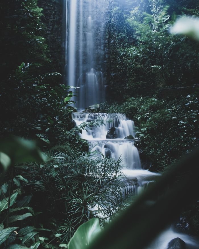 pexels photo 12360414 12360414 Beautiful waterfall cascading through lush greenery in Singapore's tropical forest.