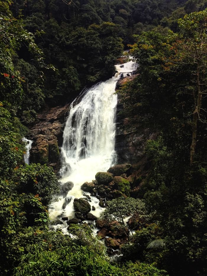 pexels photo 14577611 14577611 Stunning Munnar waterfall amidst lush greenery in Kerala, India. Ideal for nature and travel themes.