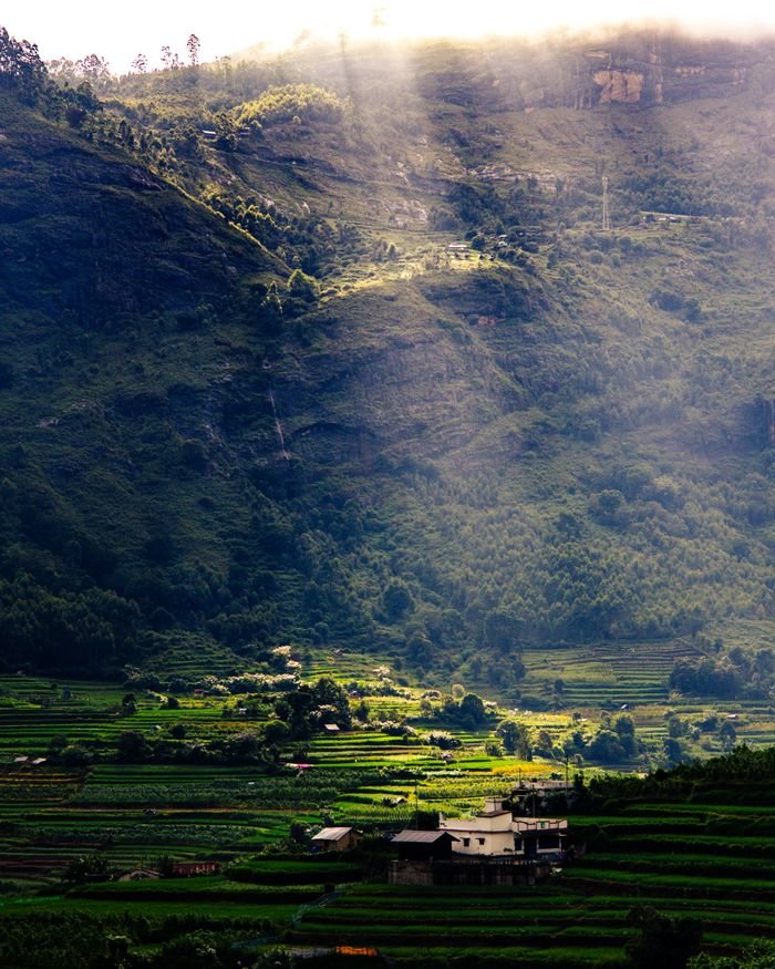 Home Stunning view of sunlight streaming over lush green rice terraces surrounded by mountains.