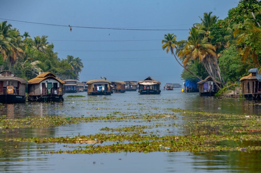 Picturesque houseboats float on Alappuzha's tranquil backwaters in Kerala, India, amidst lush greenery.