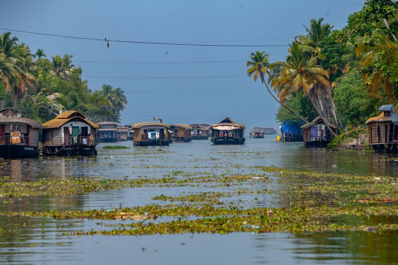 portfolio-07 Picturesque houseboats float on Alappuzha's tranquil backwaters in Kerala, India, amidst lush greenery.