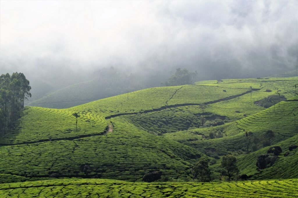 Munnar