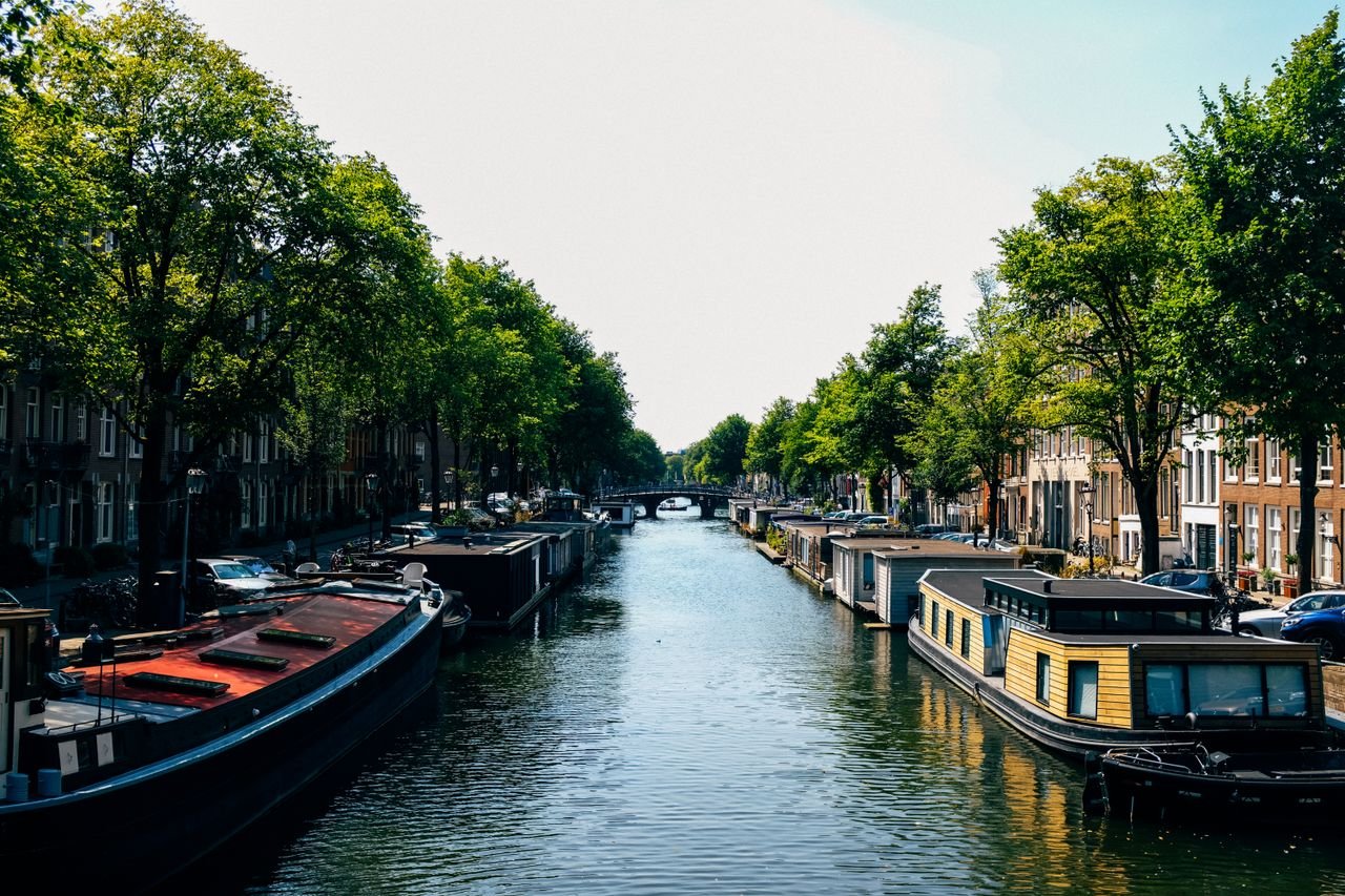 portfolio-08 Beautiful view of Amsterdam canal lined with houseboats and lush trees, reflecting the city's charm.
